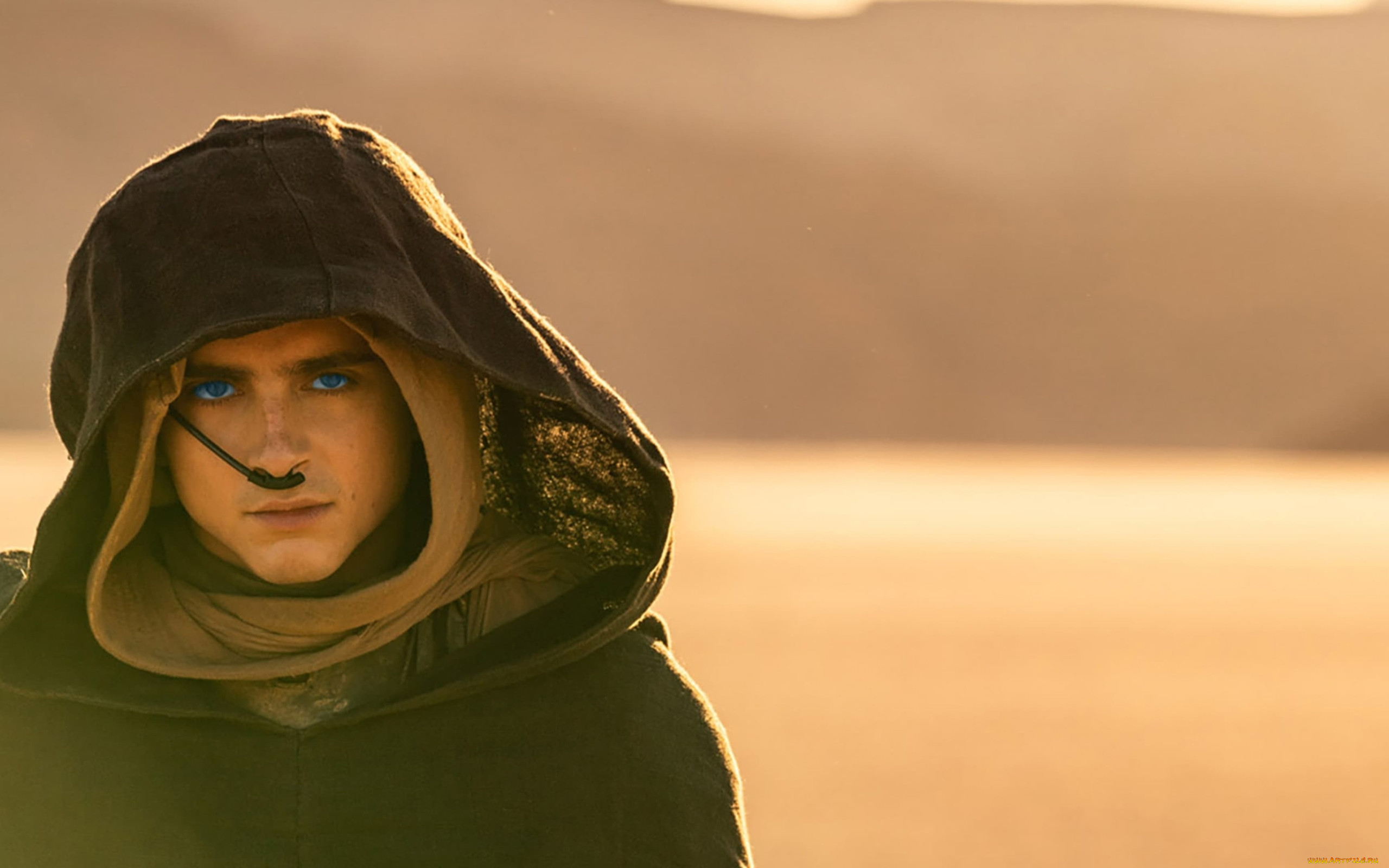  , dune,  part two, timothee, chalamet